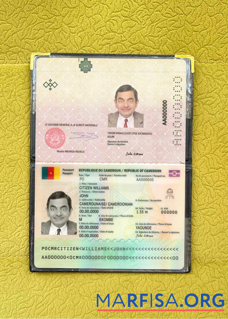 Printable Cameroon passport 2021 present photolook template